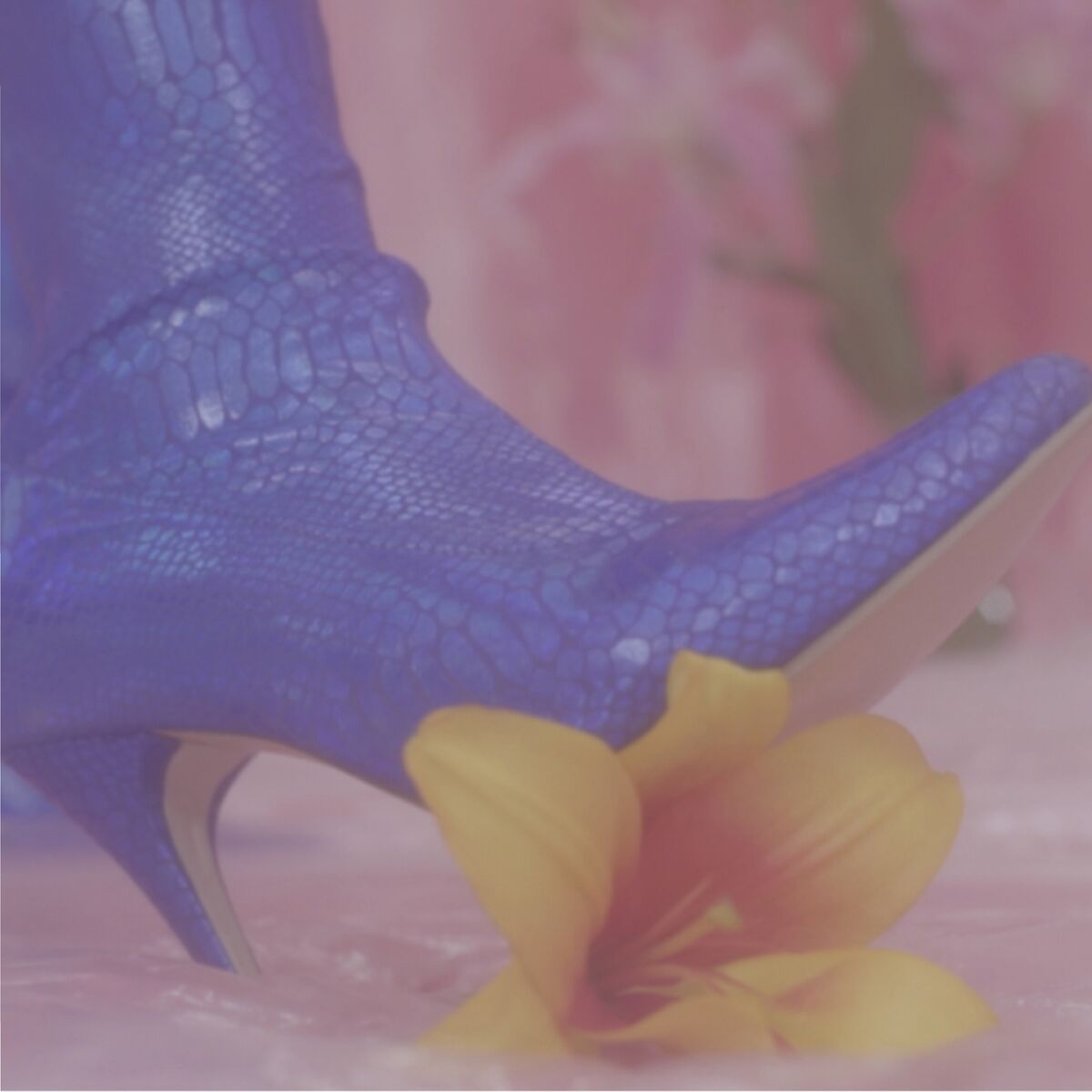 Album cover of Dejarte Ir