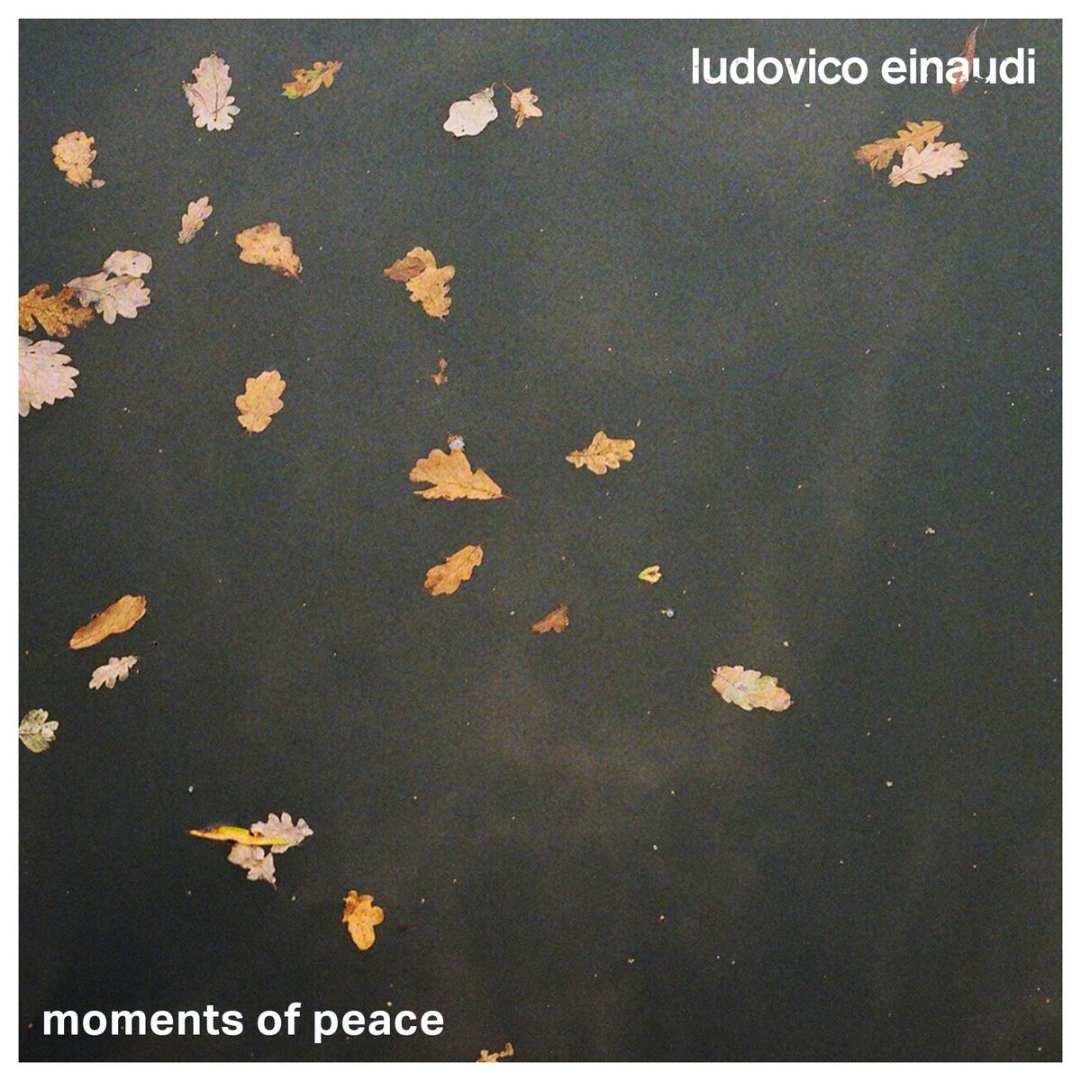 Album cover of The Tree