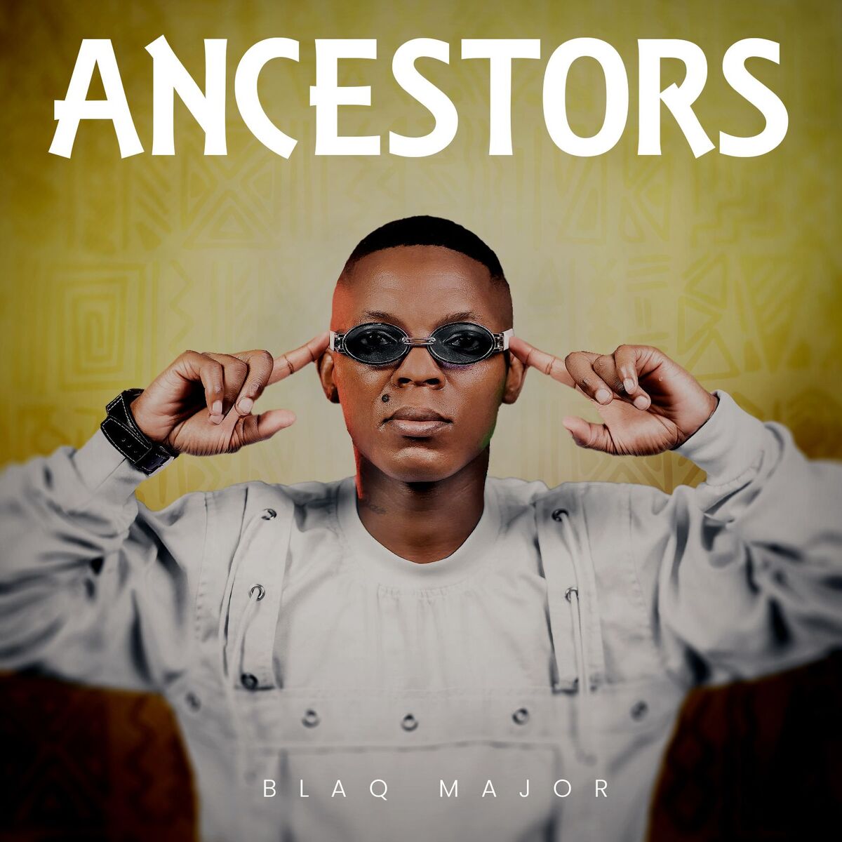 Album cover of Amaphutha (feat. Nkosazana Daughter & Bless The Gentleman)