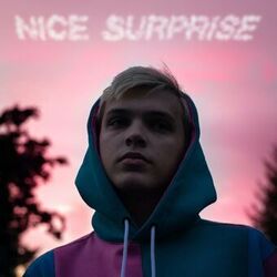 Cover of Nice Surprise