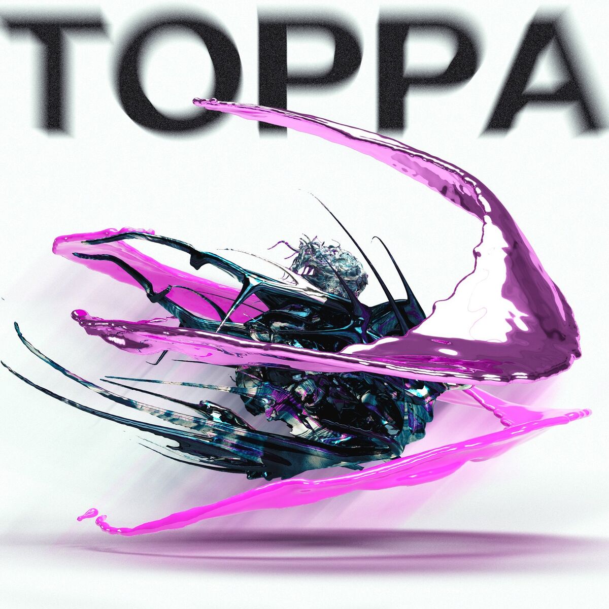 Album cover of TOPPA