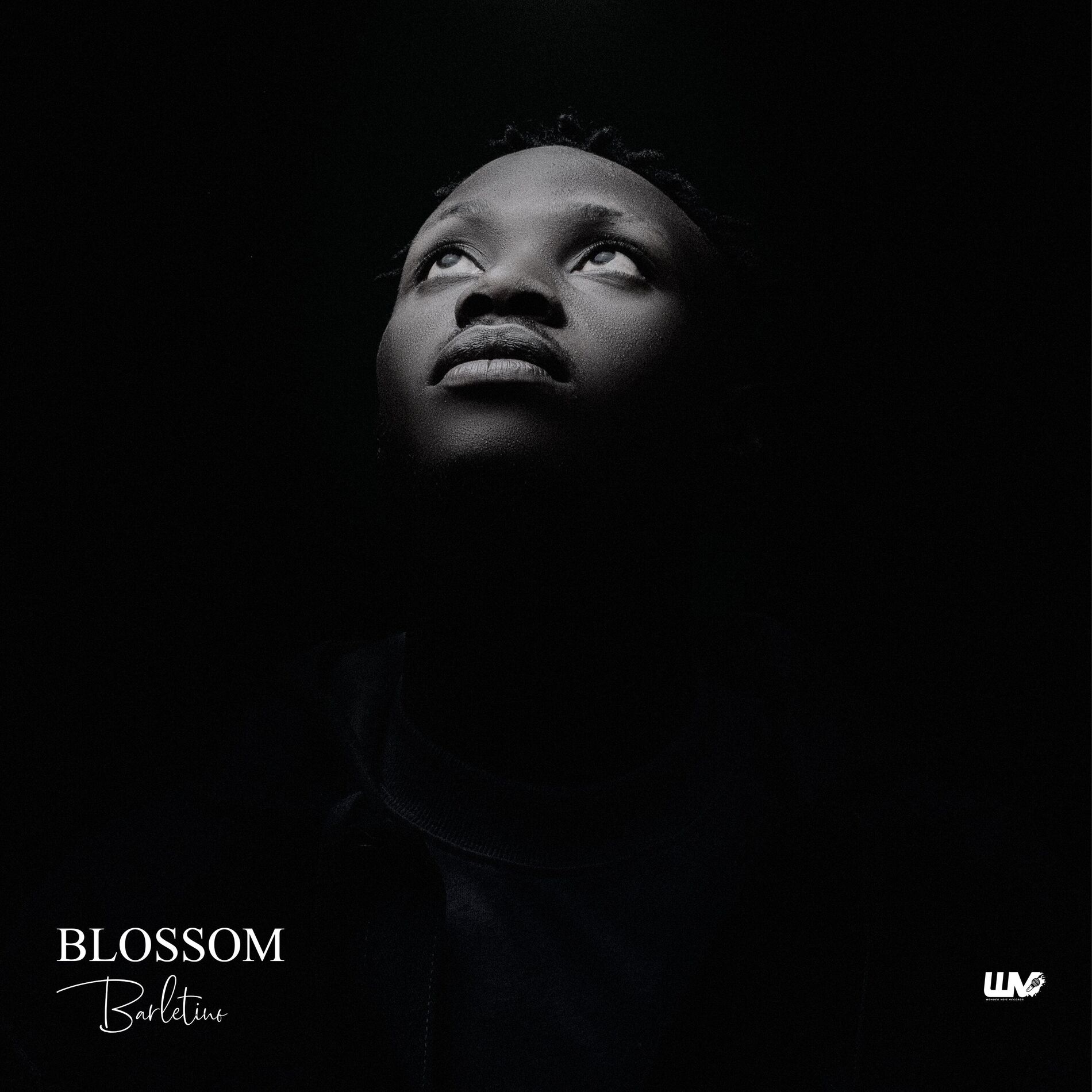 Album cover of Blossom