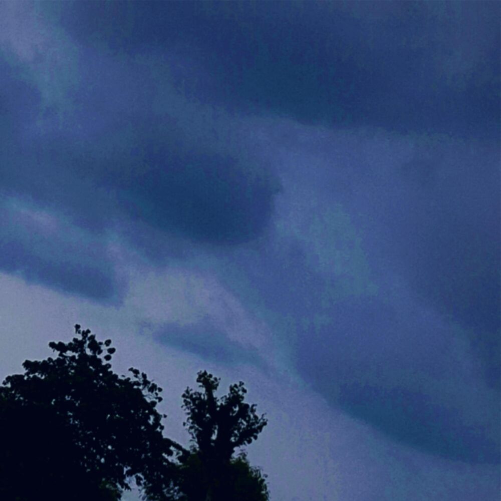 Picture of Blue Velvet