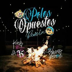 Cover of POLOS OPUESTOS REMIX (BLESSD VERSION)