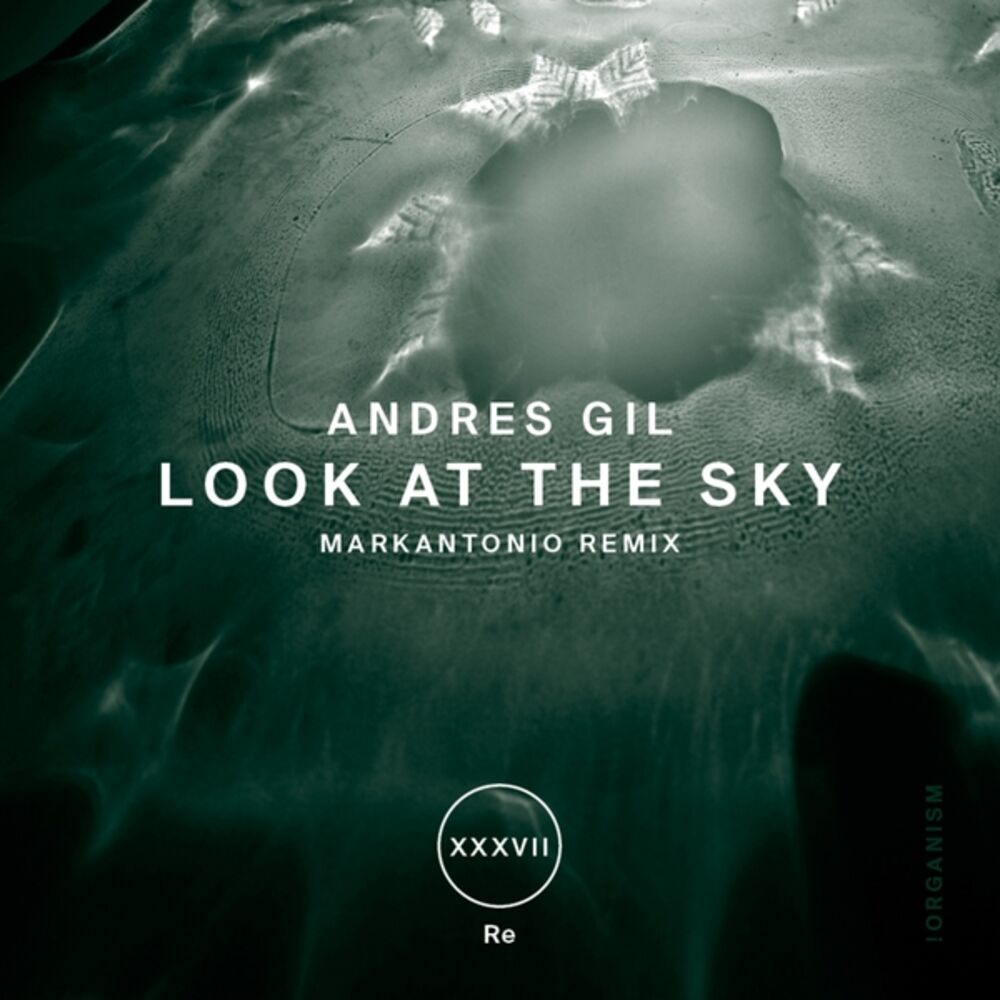Picture of Look At the Sky