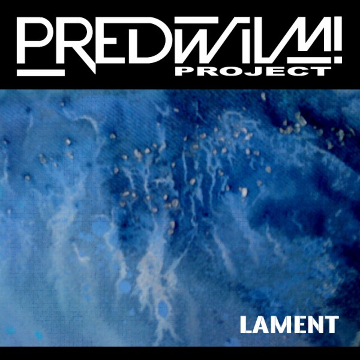 Album cover of Lament (Expanded Version)