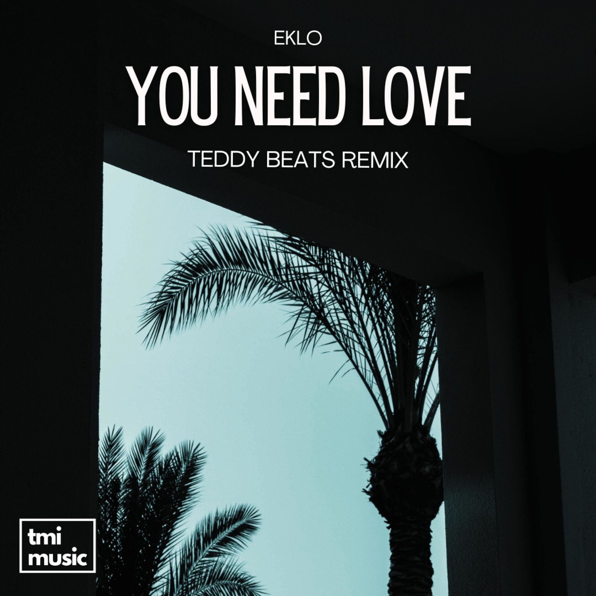 Album cover of You Need Love (Teddy Beats Remix)