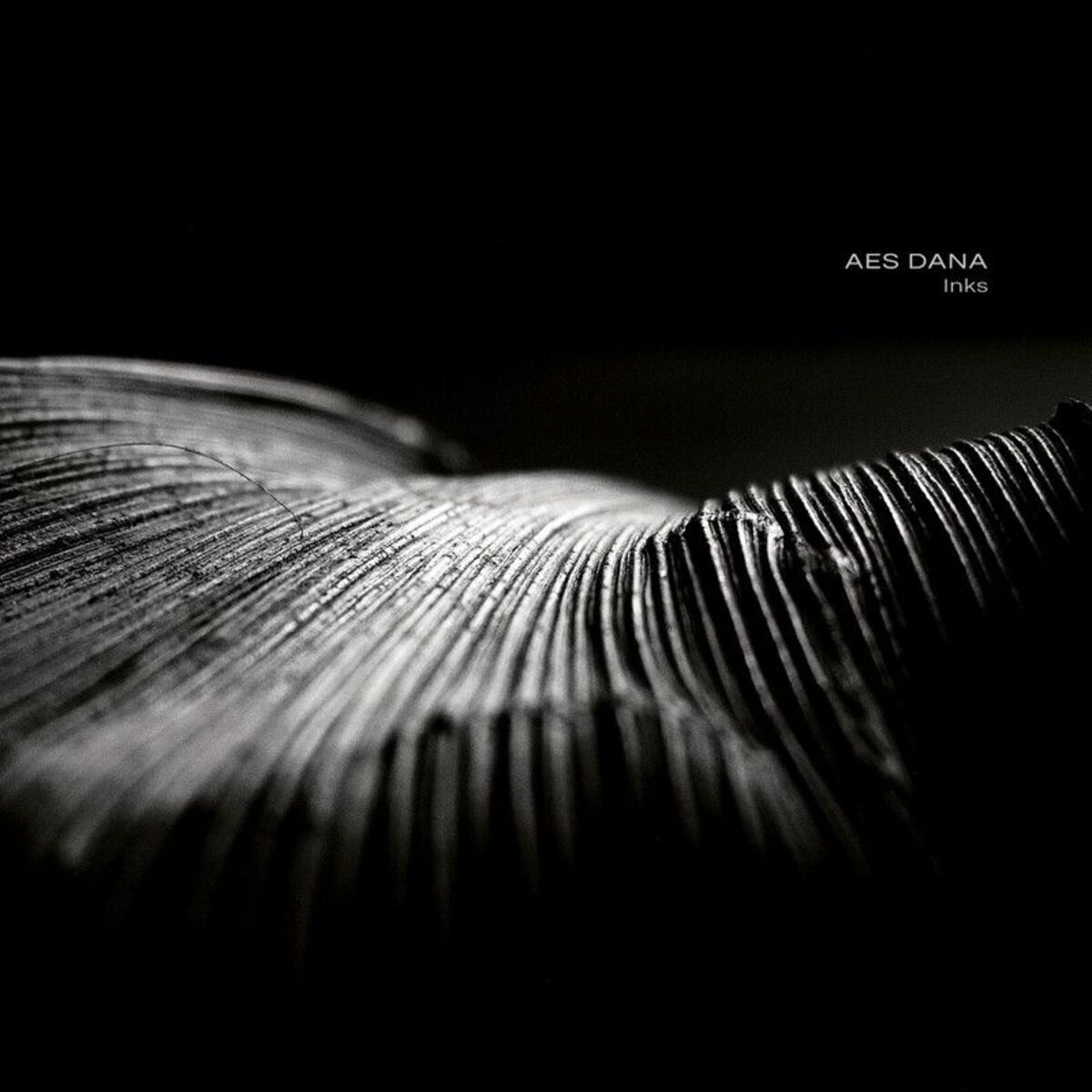 Album cover of Ashen