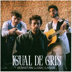 Cover of Igual de gris