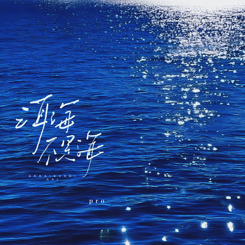 洱海不是海