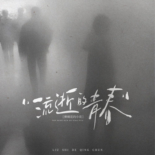 流逝的青春