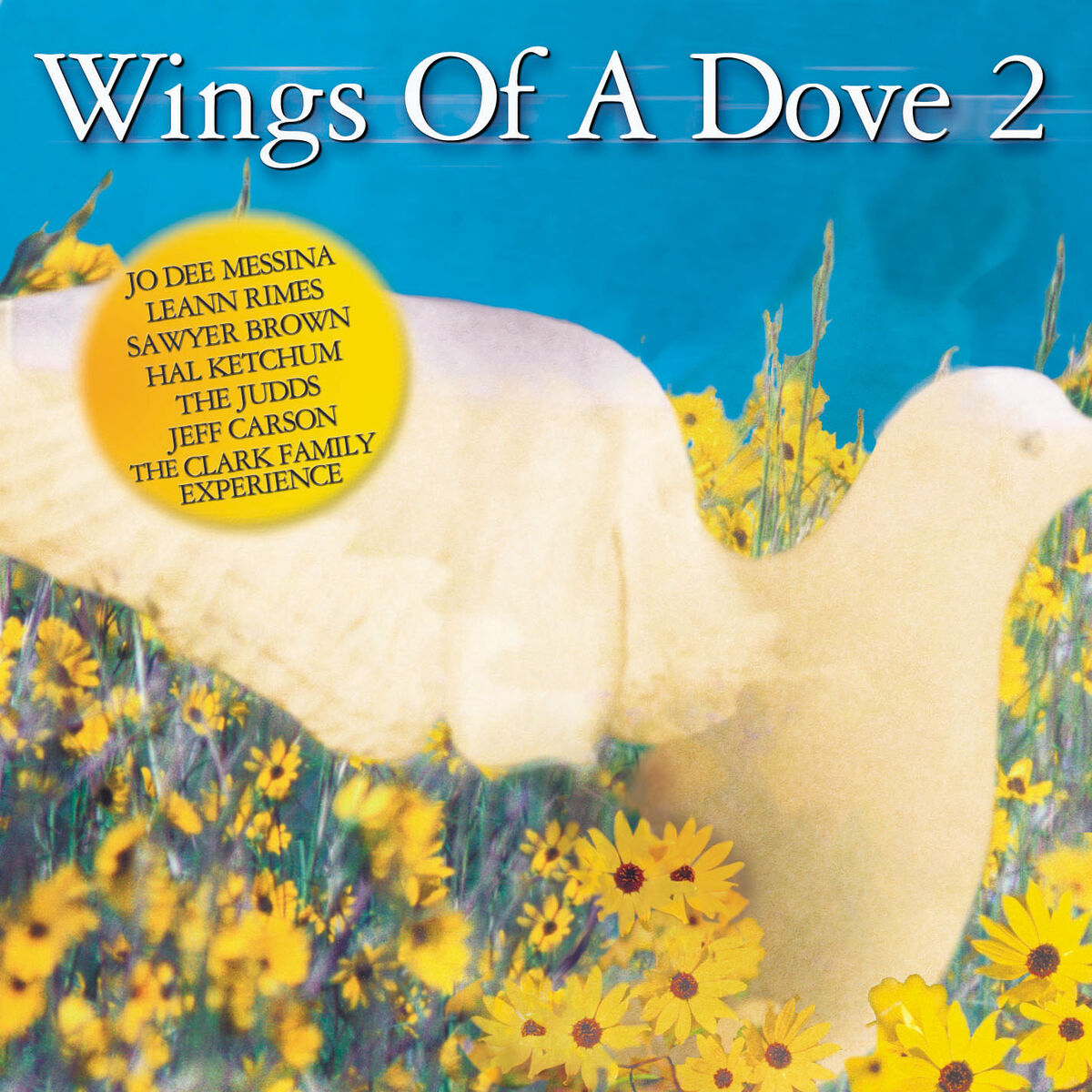 Album cover of Shine On