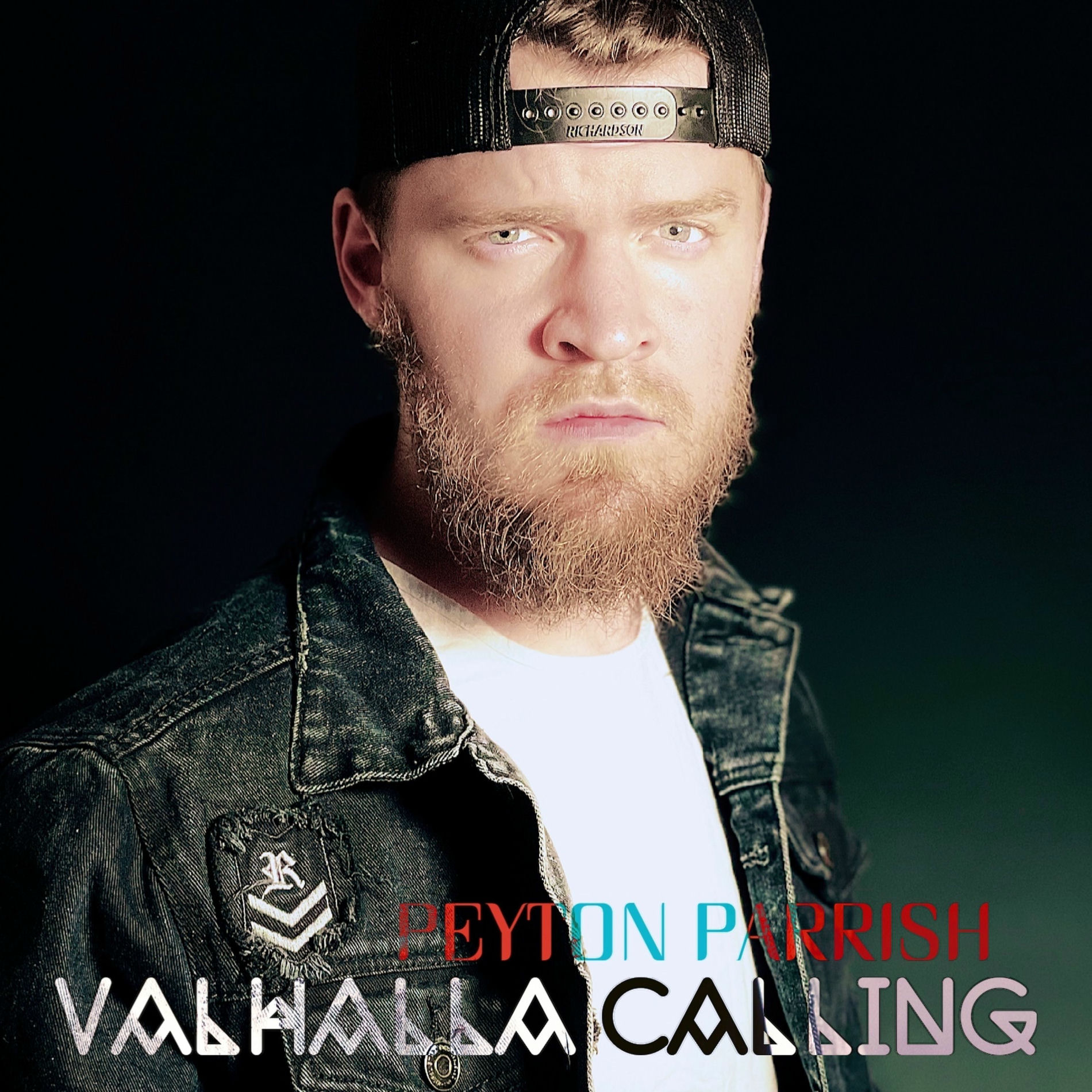 Album cover of Valhalla Calling