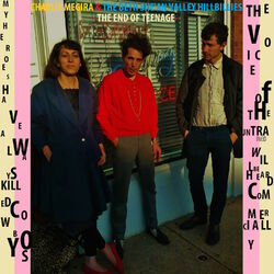 Cover of The End of Teenage