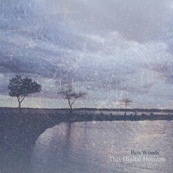 Cover of This Digital Horizon