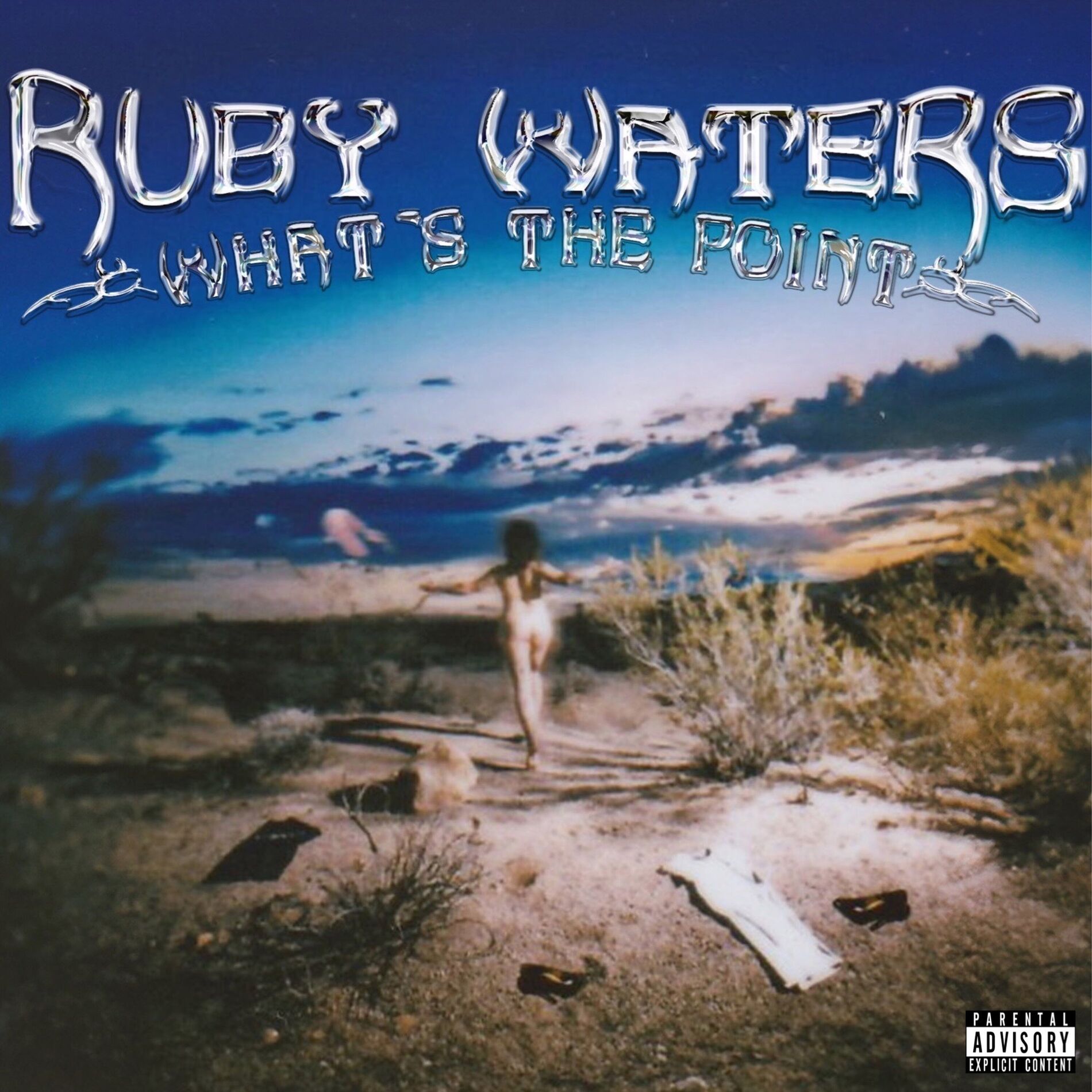 Album cover of What's The Point