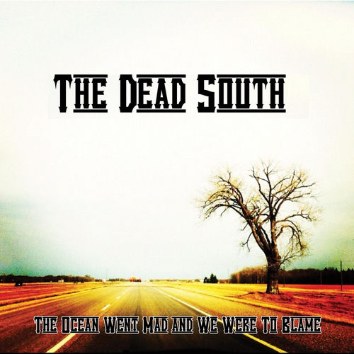 Banjo Odyssey by The Dead South - 93 BPM