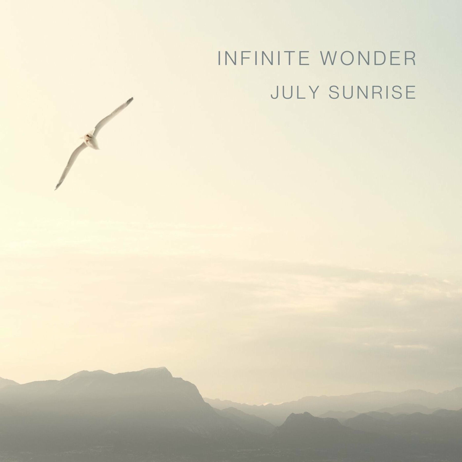Album cover of Infinite Wonder