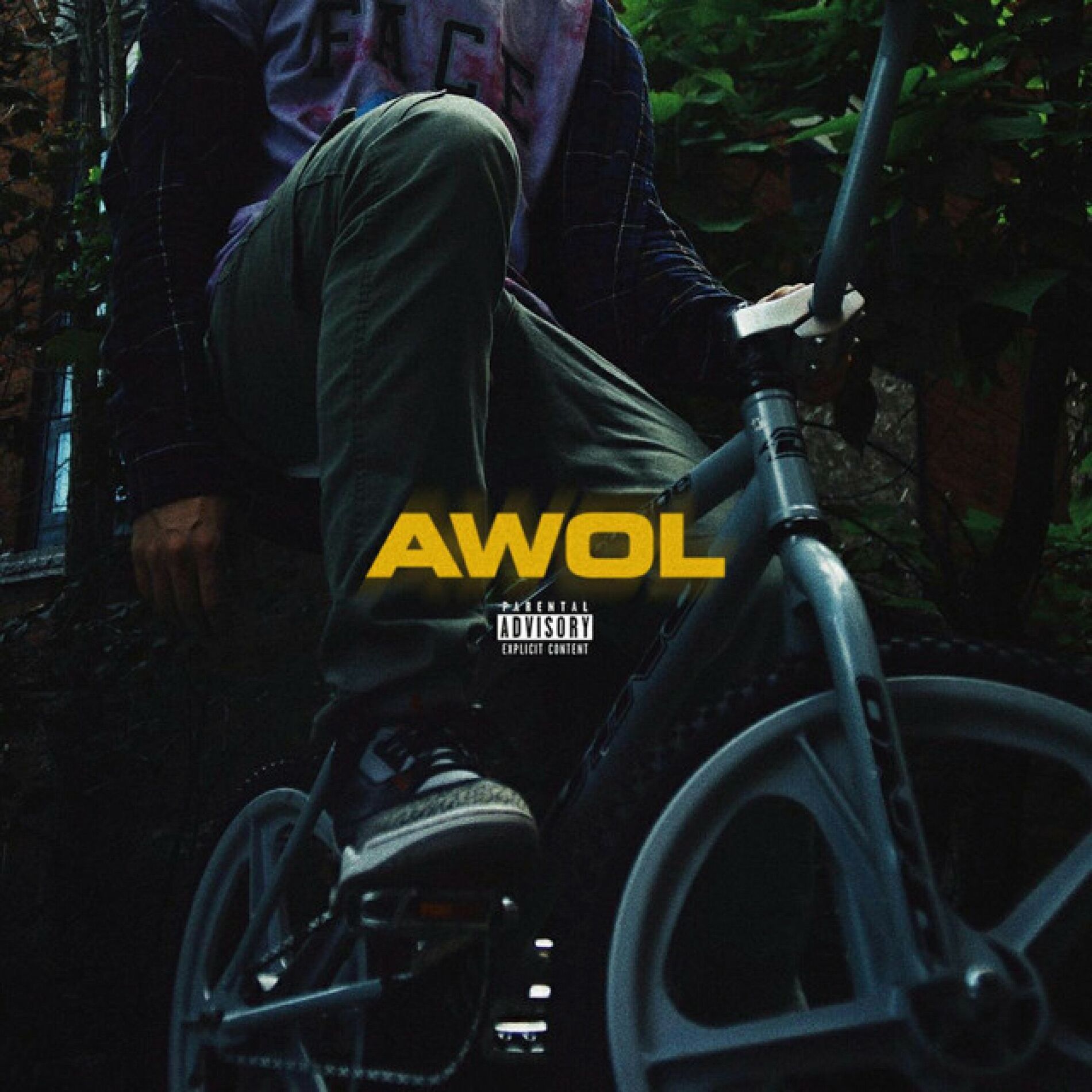 Album cover of Awol