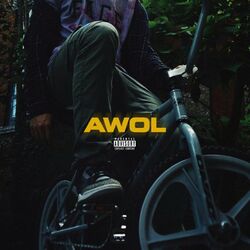 Cover of Awol