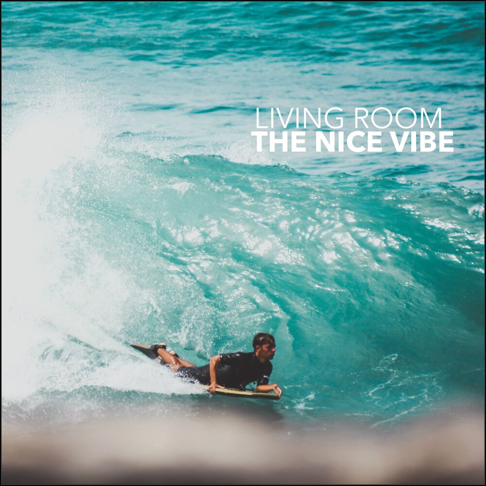 Picture of The Nice Vibe