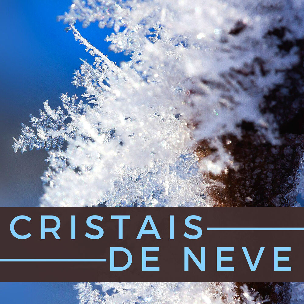 Picture of Cristais de Neve - Seleção Relaxante com Sons de Água e Natureza para Spa