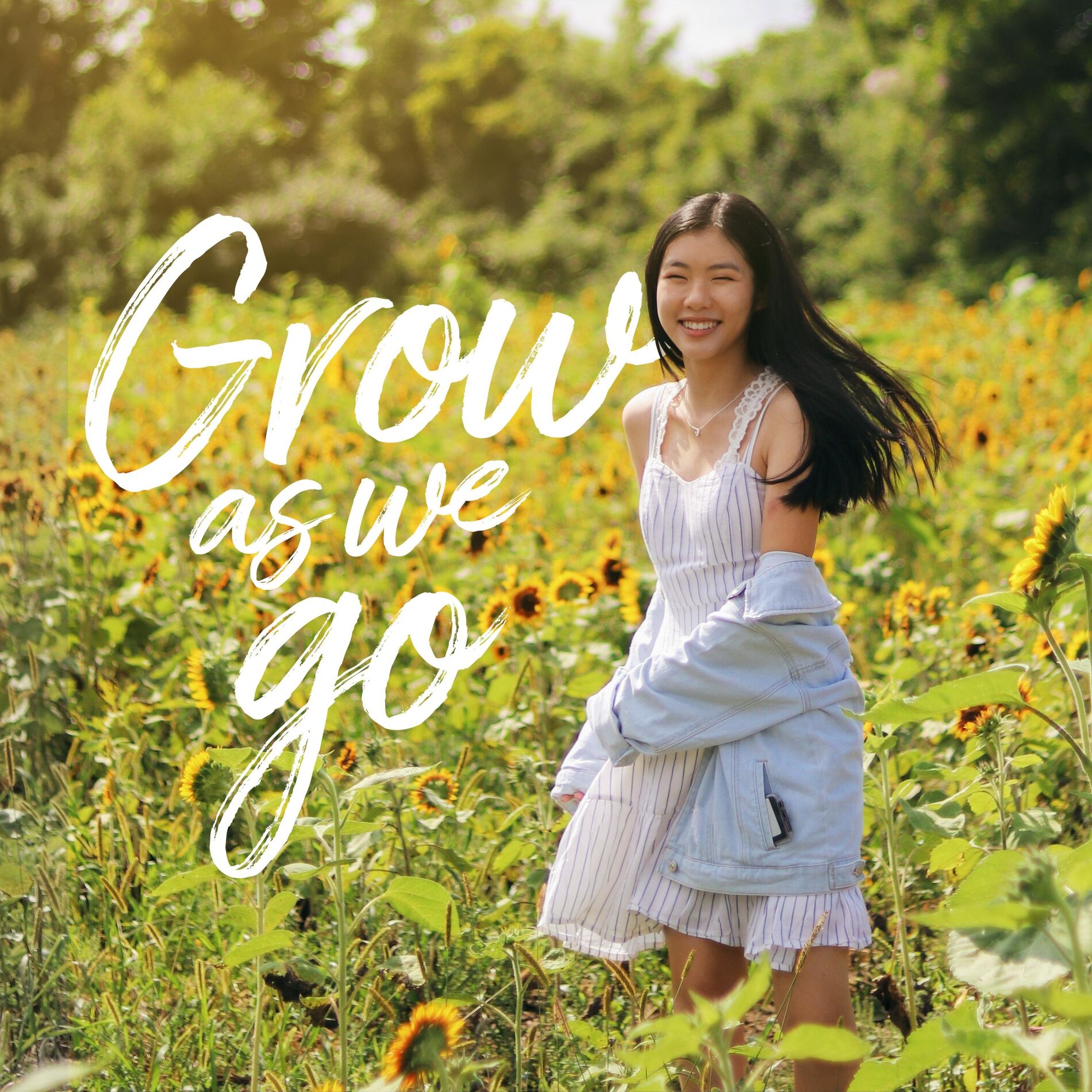 Album cover of Grow As We Go (feat. Stéphan André)