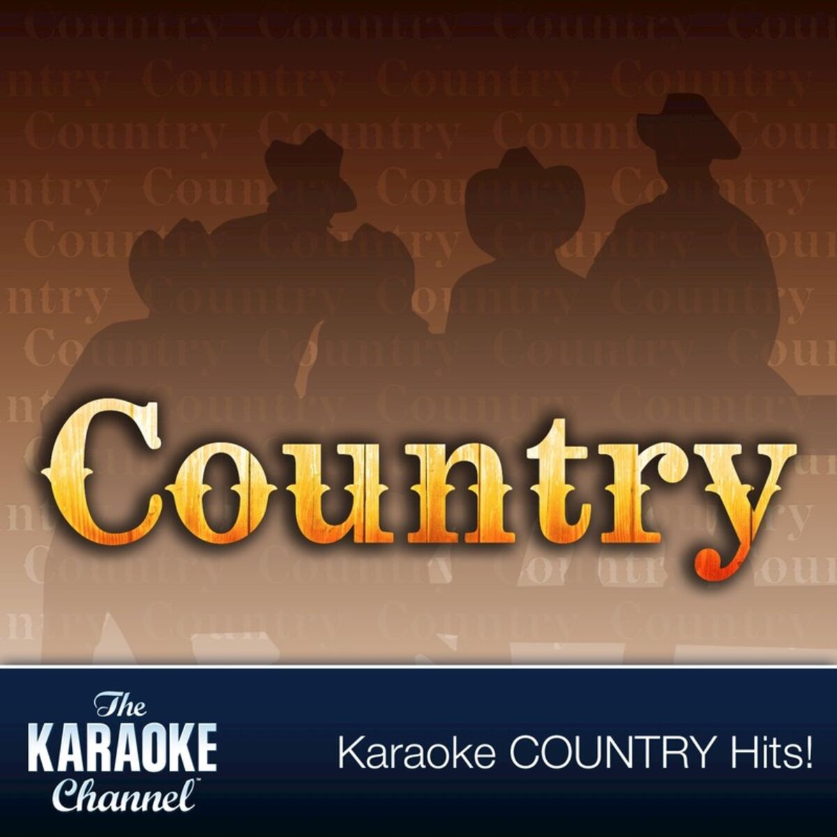 Album cover of The Karaoke Channel - Country Hits of 1993, Vol. 13