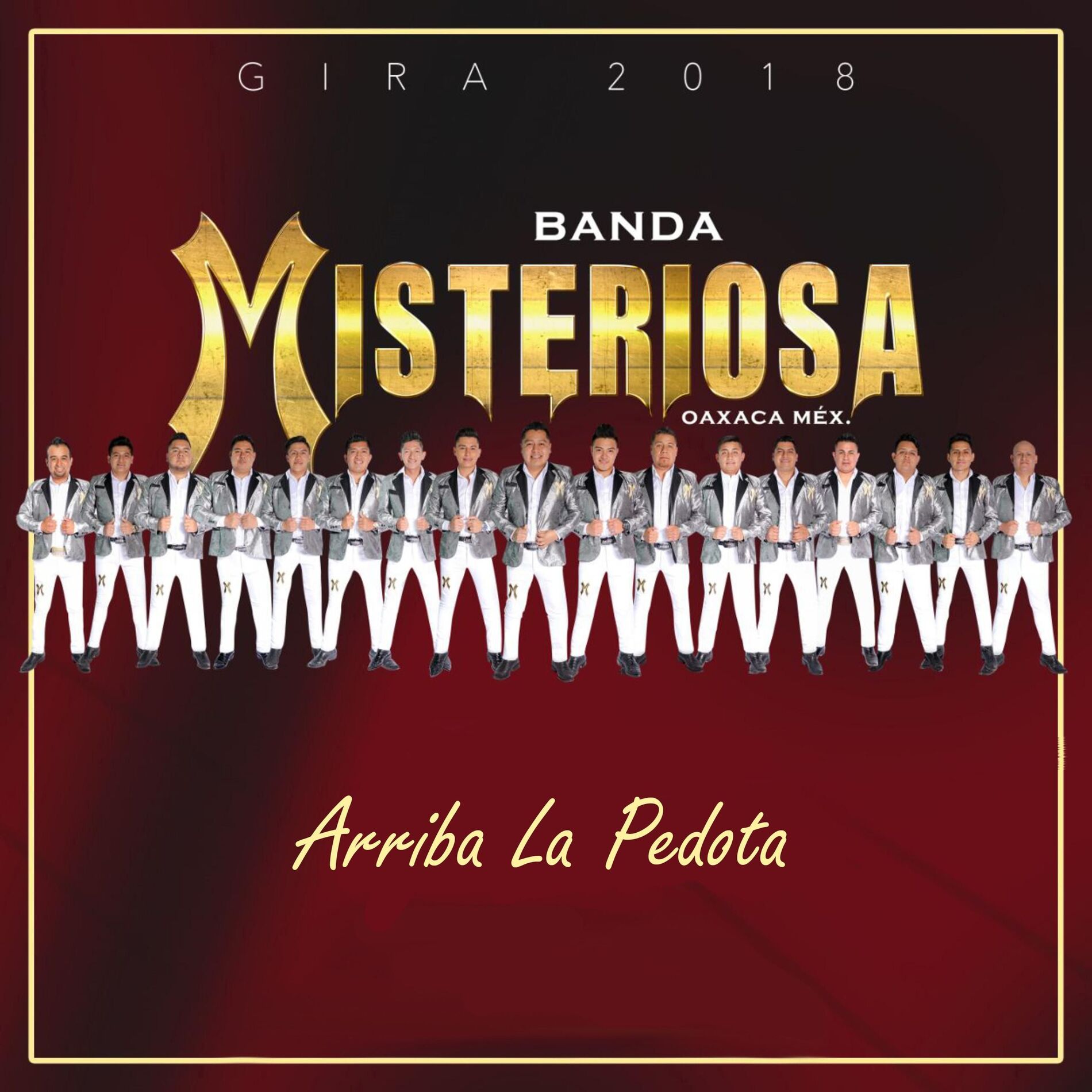 Album cover of Arriba la Pedota