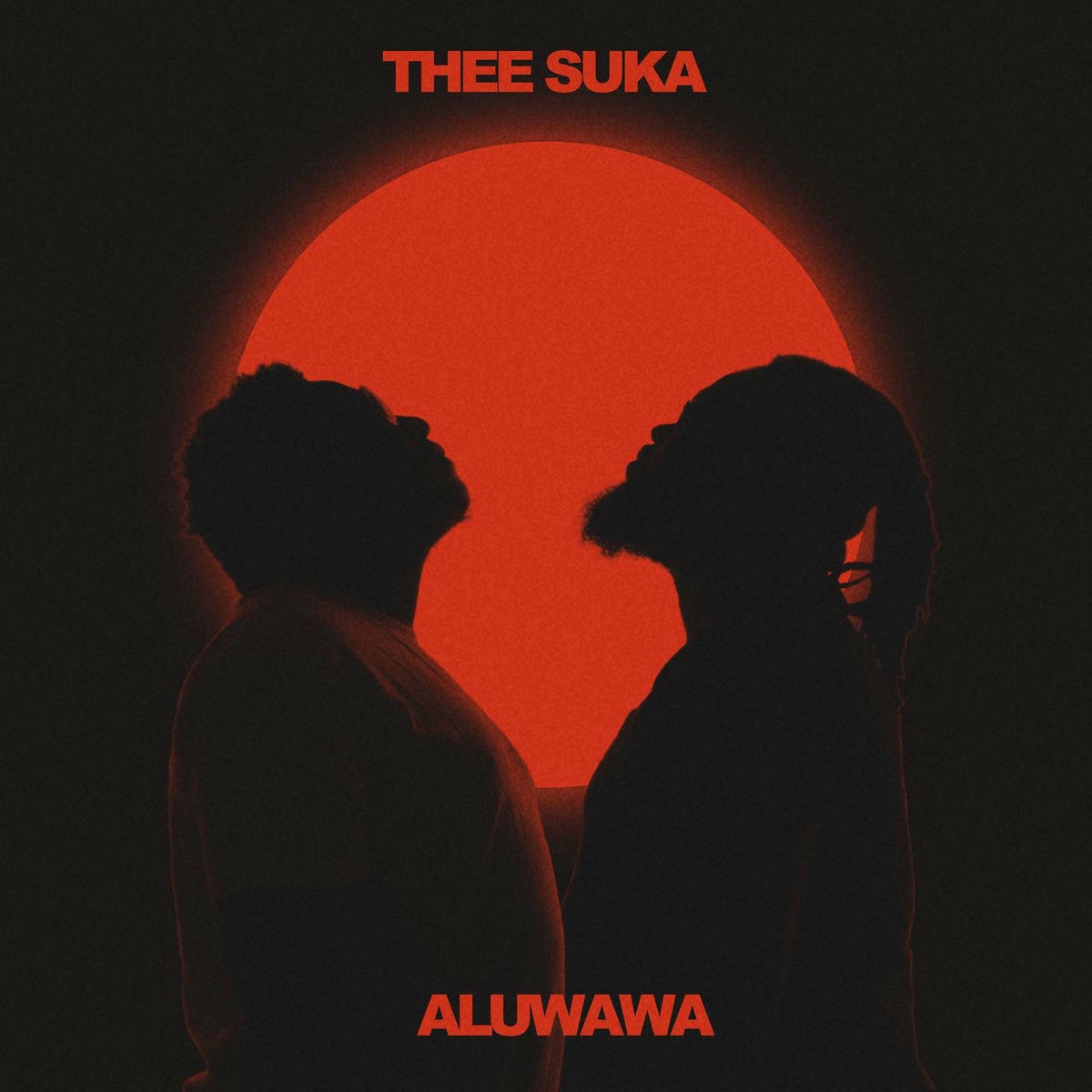 Album cover of Aluwawa