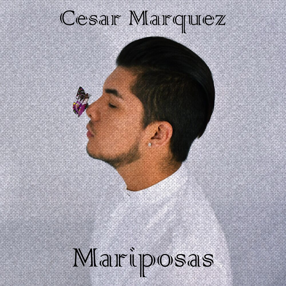 Picture of Mariposas