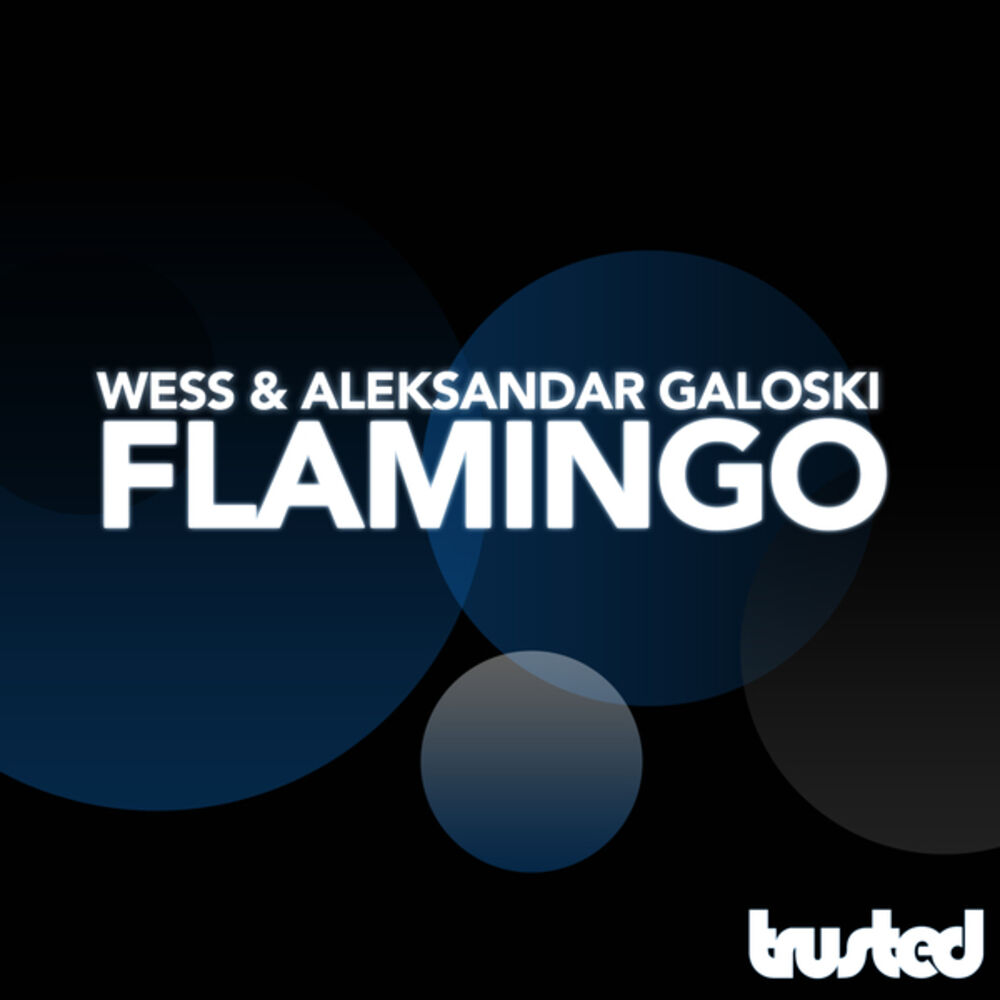Picture of Flamingo