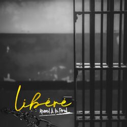 Cover of Libéré