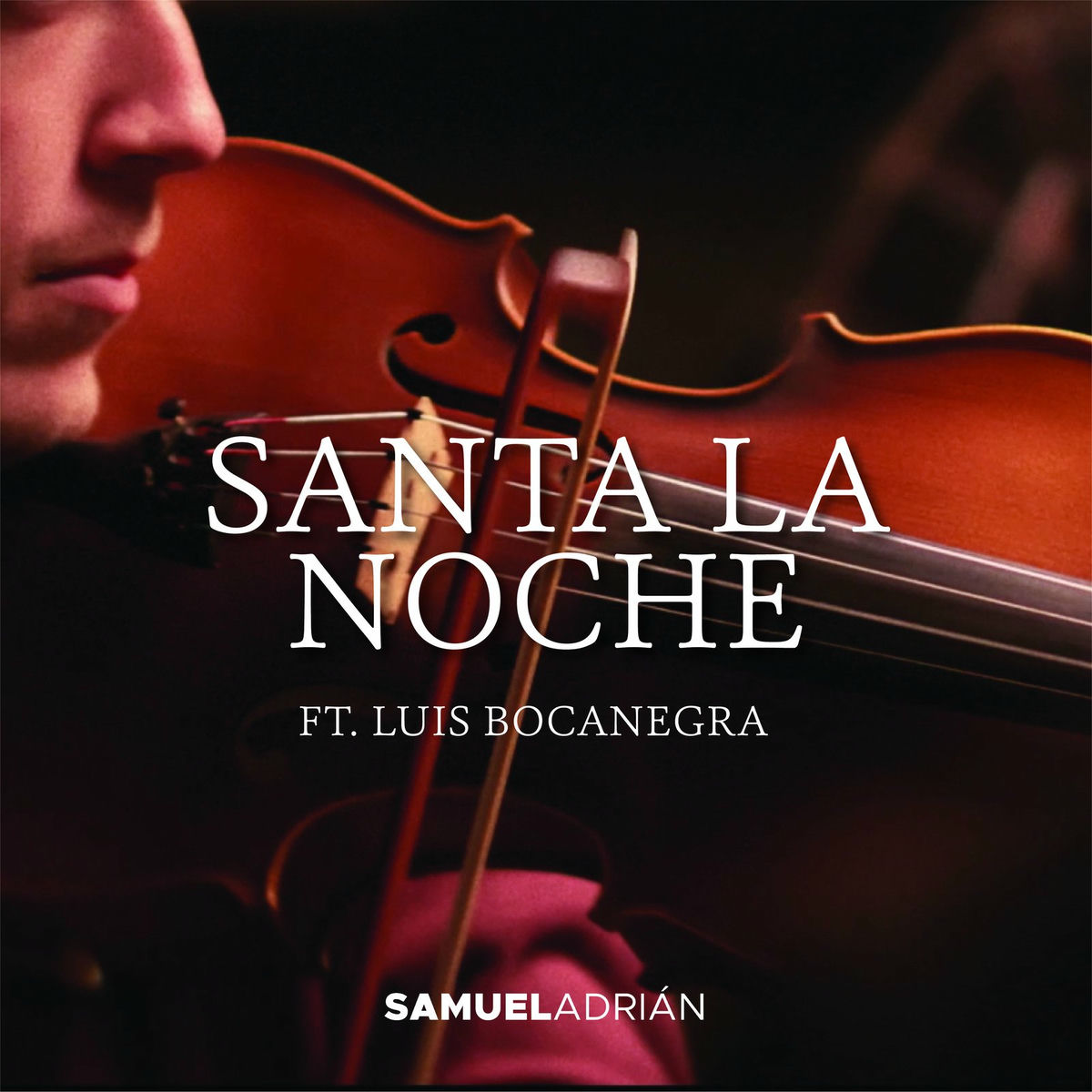 Album cover of Santa La Noche