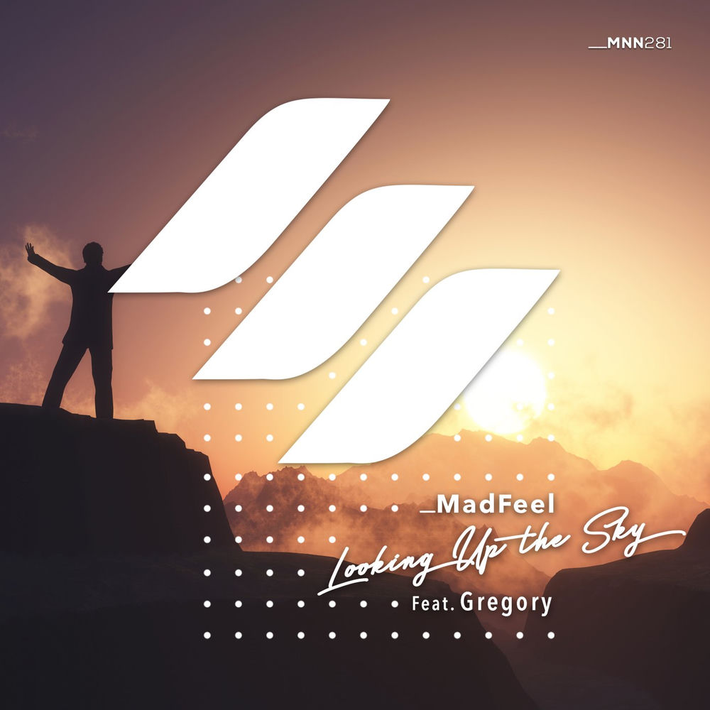 Album artwork for Looking Up the Sky (Radio Edit) by Gregory