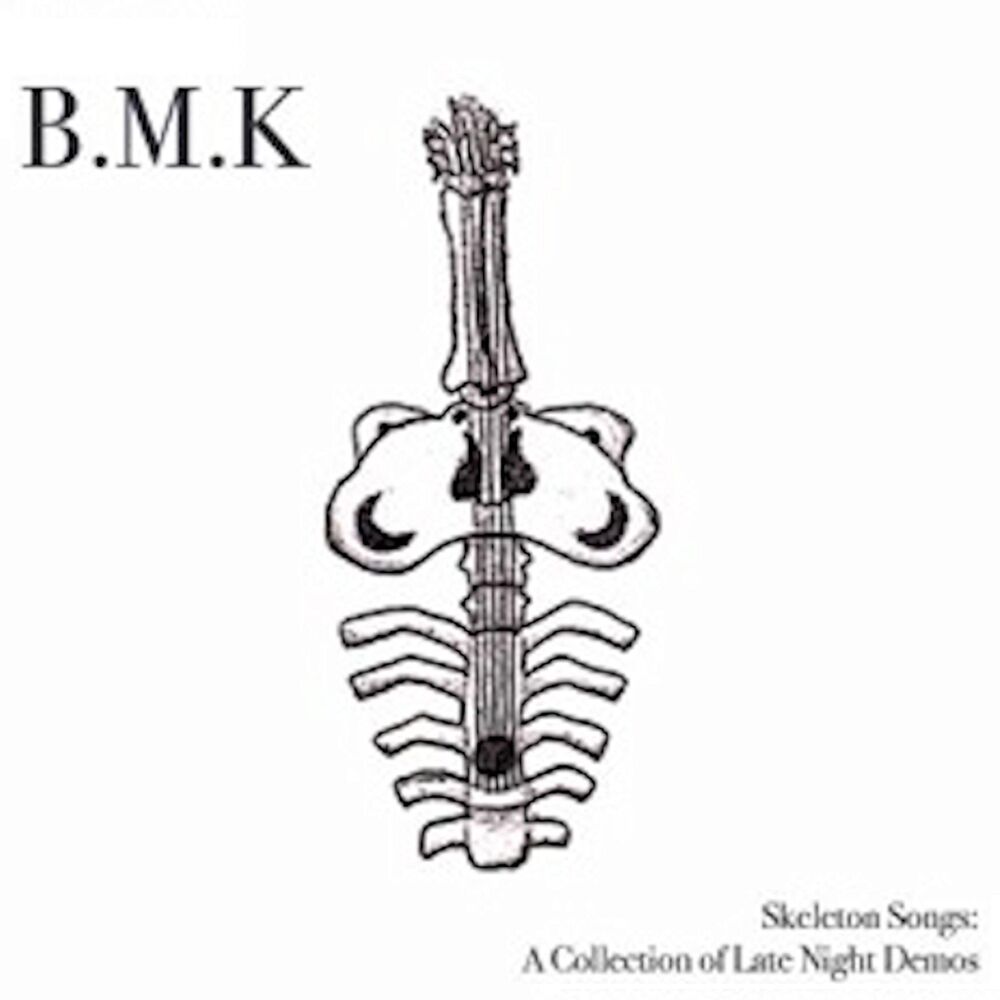 Picture of Skeleton Songs: a Collection of Late Night Demos