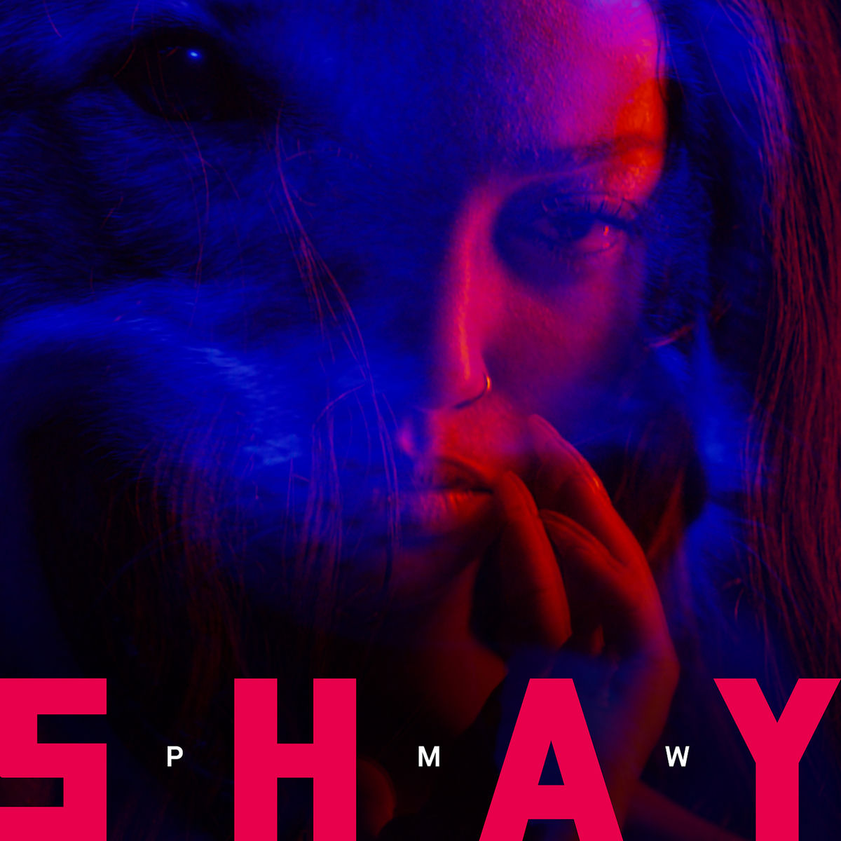 Album cover of PMW