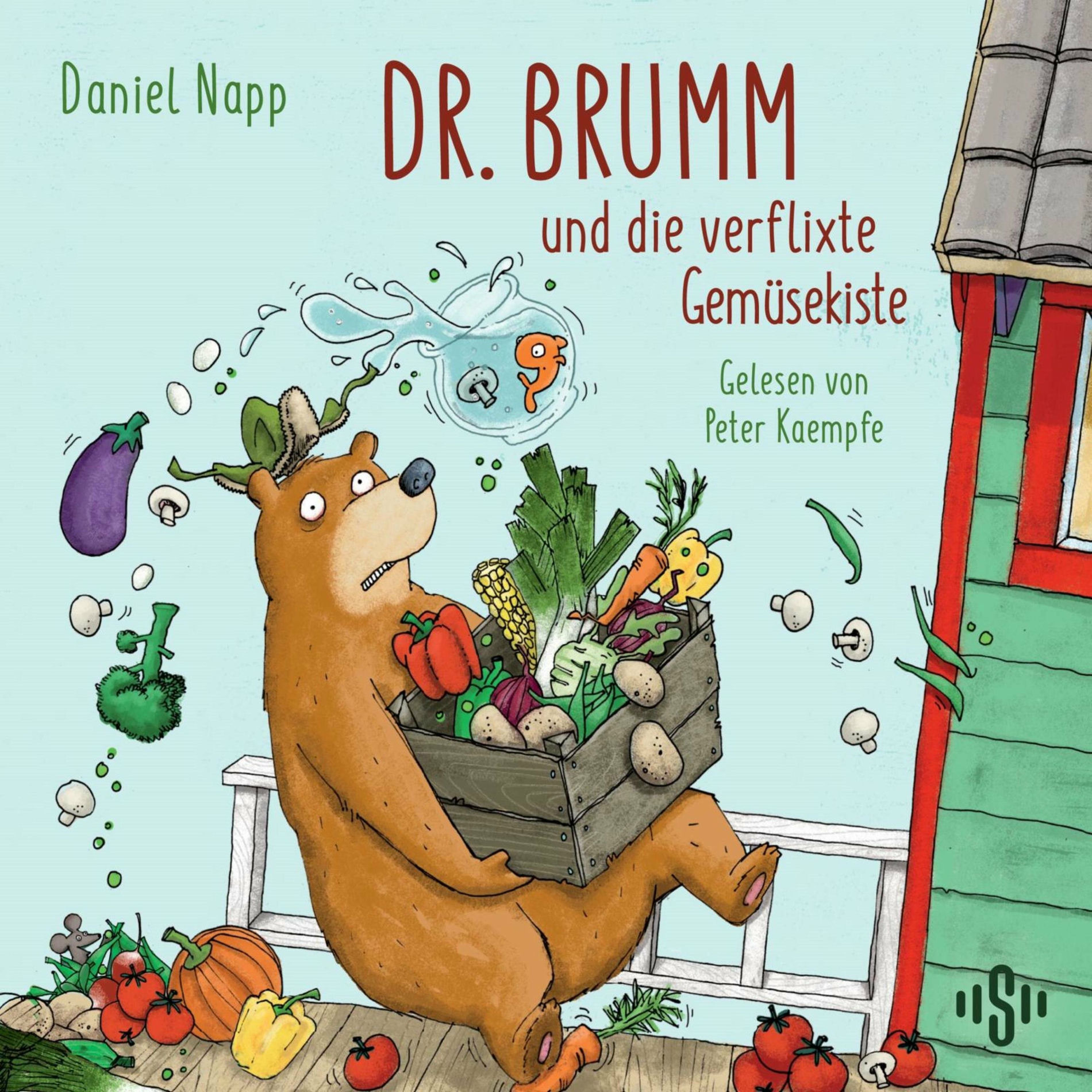 Album cover of Dr. Brumm und die verflixte Gemüsekiste (Dr. Brumm)