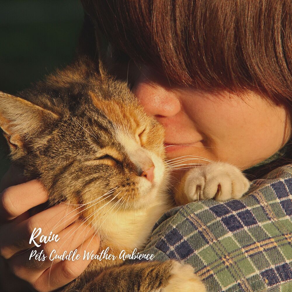 Picture of Rain: Pets Cuddle Weather Ambience