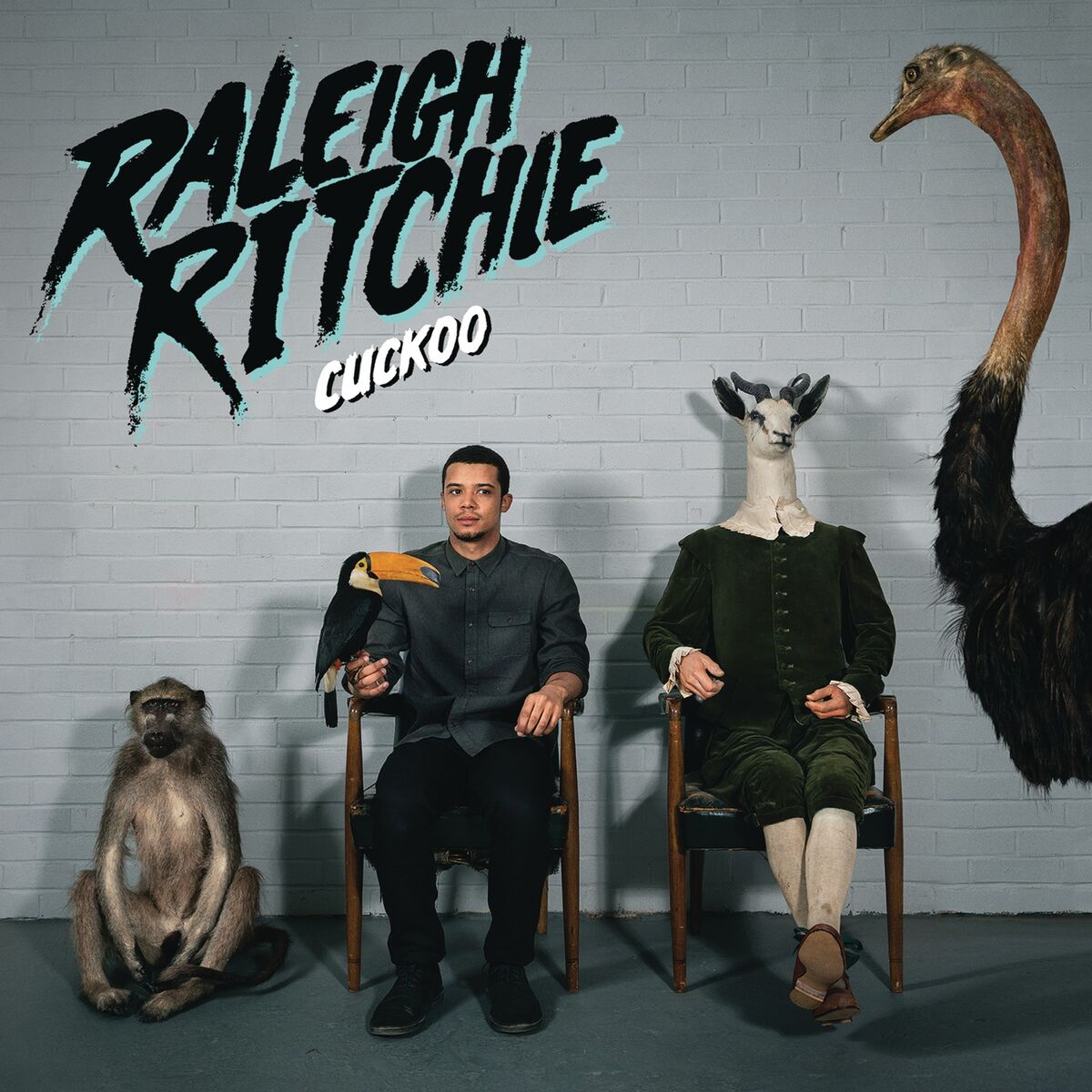 Album cover of Cuckoo