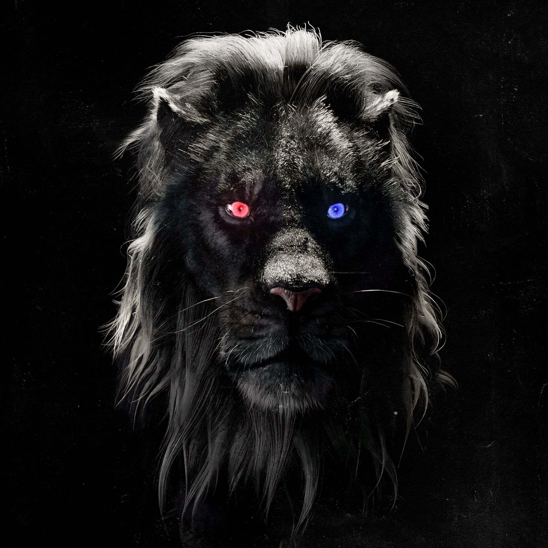 Album cover of Afterparty