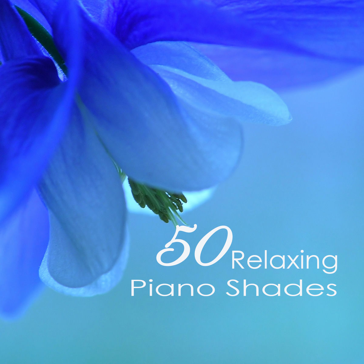Album cover of Beautiful Songs