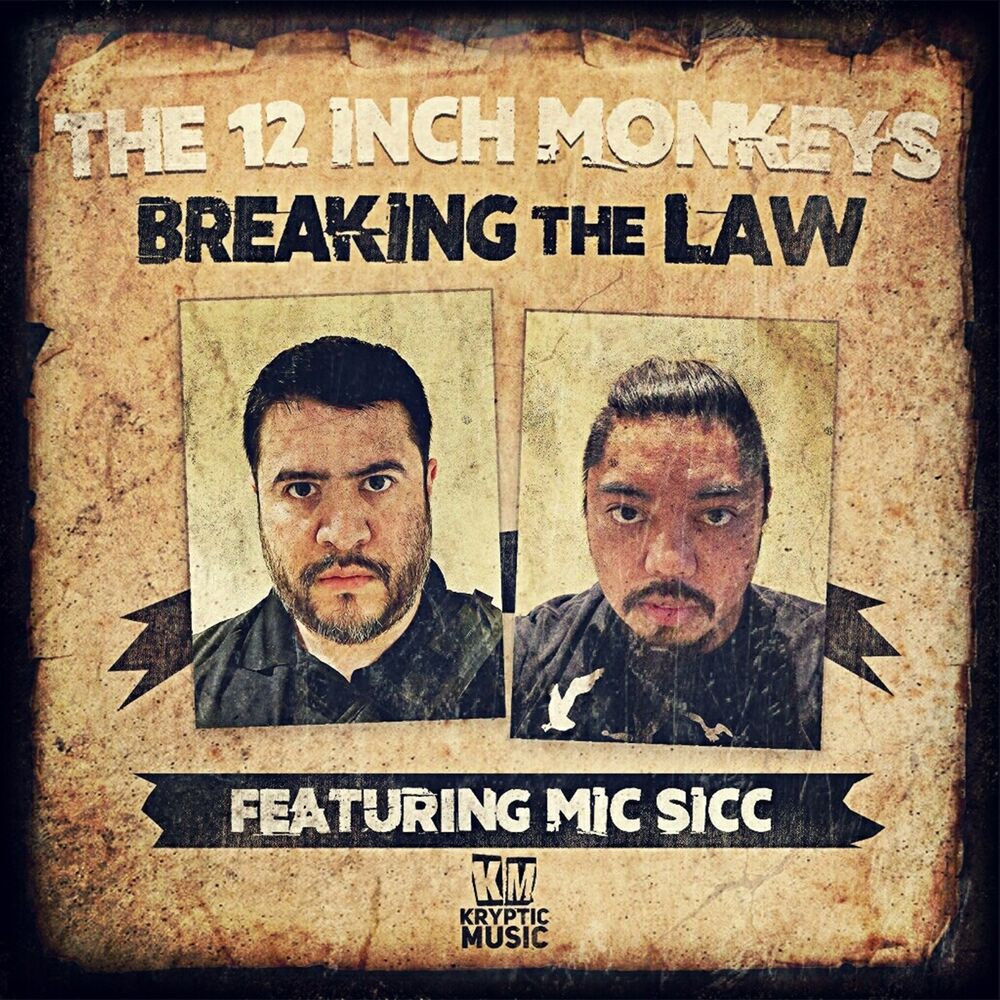 Picture of Breaking the Law