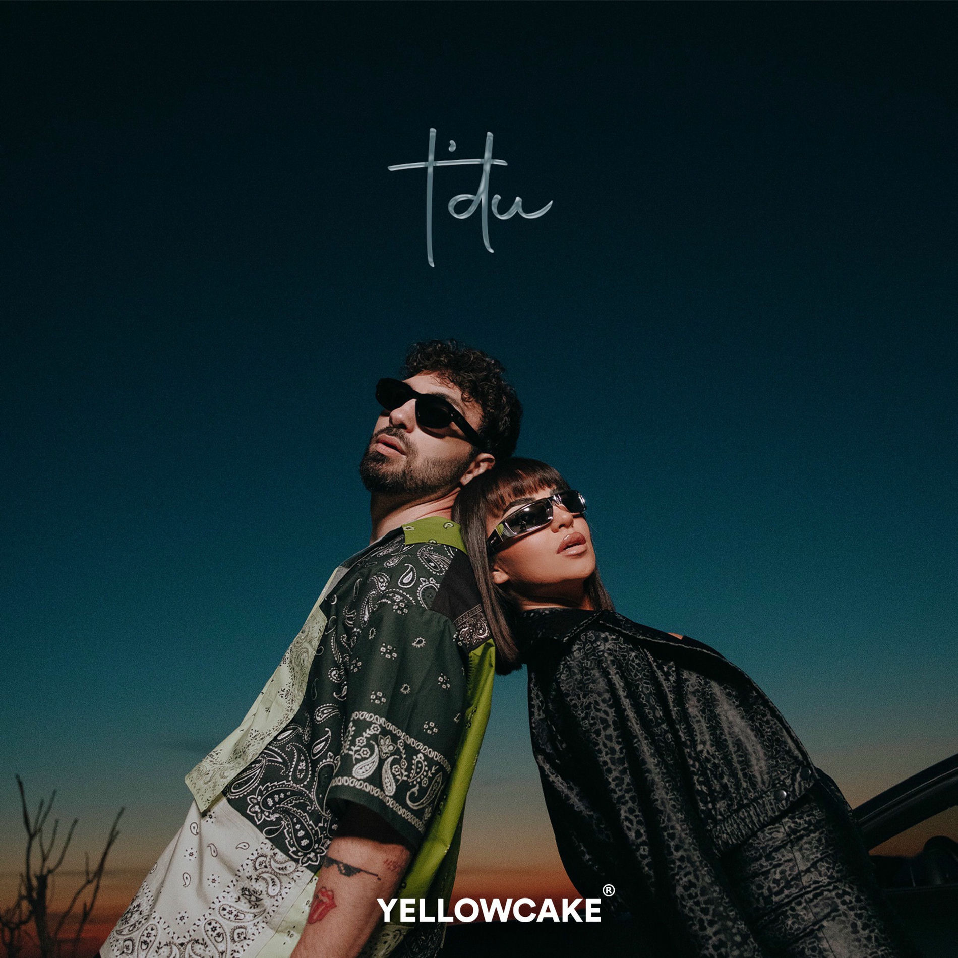 Album cover of TDU