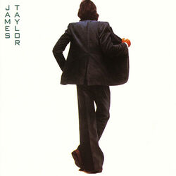 Cover of In the Pocket