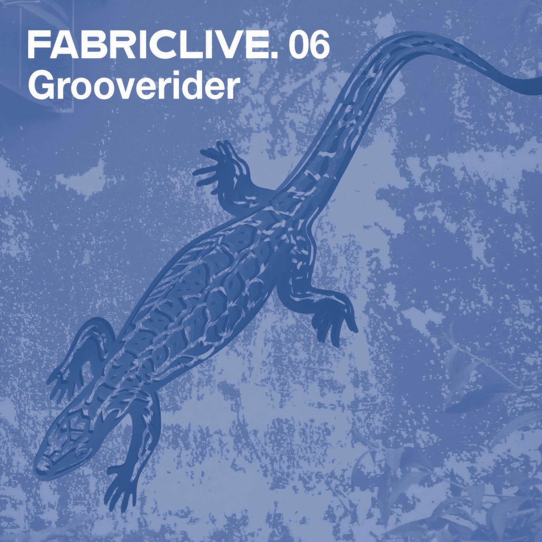 Album cover of FABRICLIVE 6: Grooverider (DJ Mix)