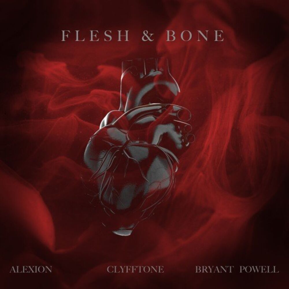 Picture of Flesh & Bone