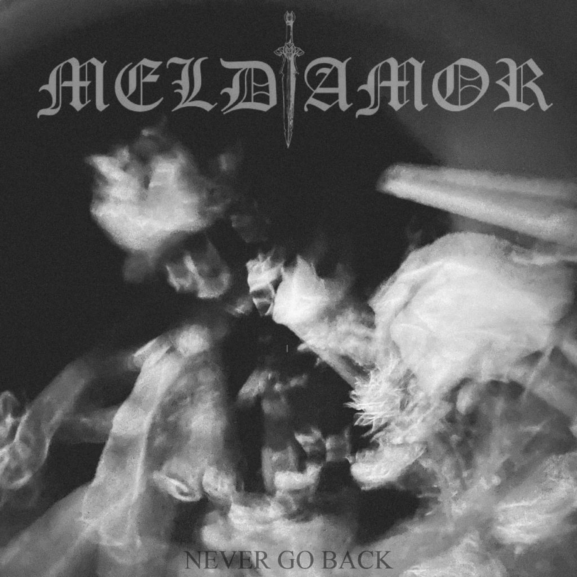 Album cover of Never Go Back
