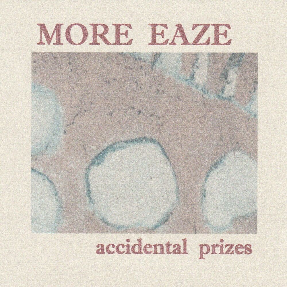 Picture of Accidental Prizes