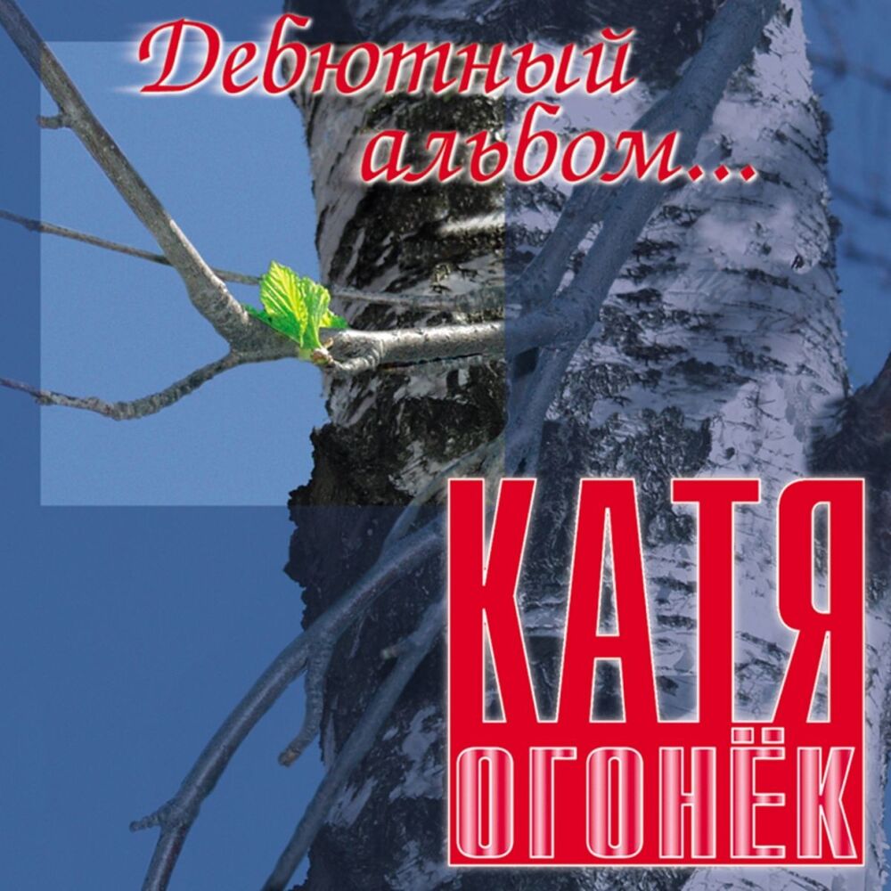 Picture of Дебютный Альбом